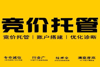 成功案例：托管SEM竞价在金融行业的应用